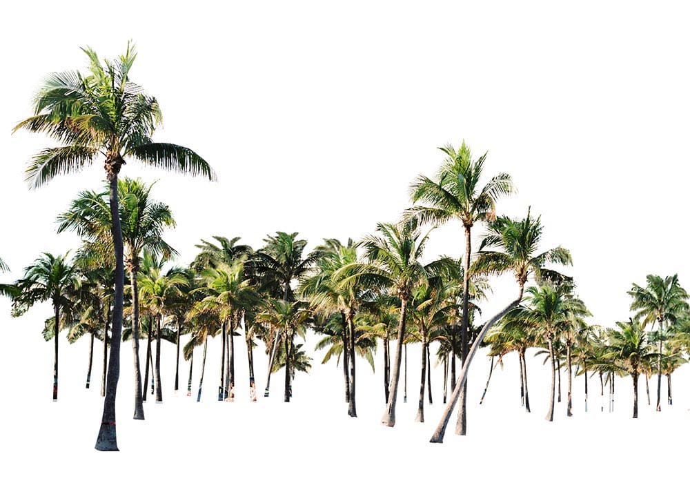 Procedures to follow while looking for the best background removal services: